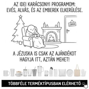 Az idei karácsonyi programom...
